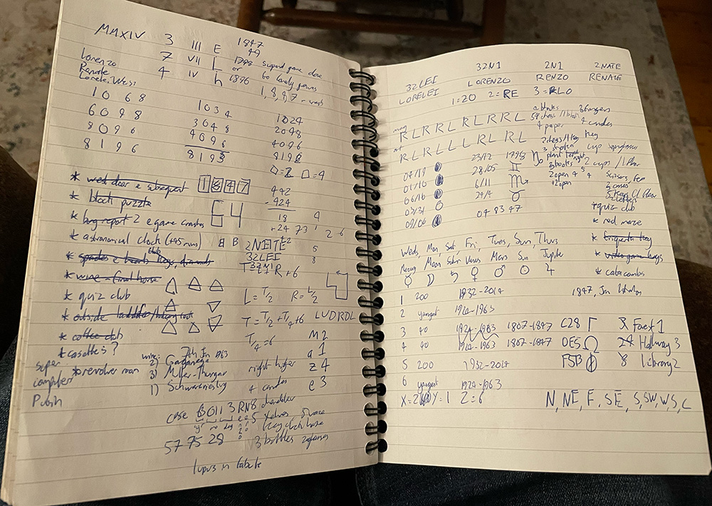 Lorelei notebook screenshot